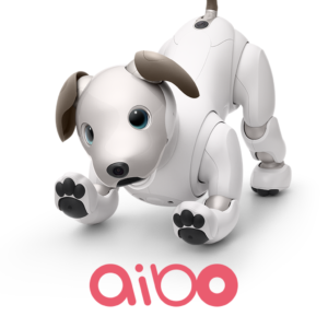 aibo